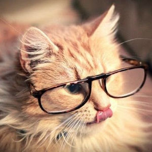 Meet your Posher, Gena